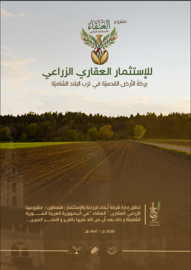 صفحة 2